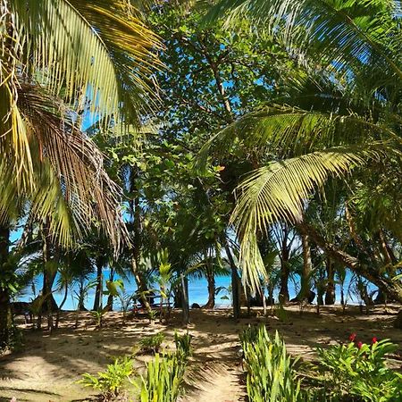 Drago Beach House - Private Beach Boca del Drago Exteriér fotografie