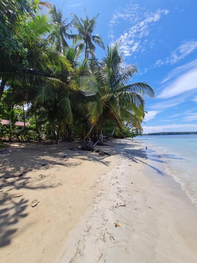 Drago Beach House - Private Beach Boca del Drago Exteriér fotografie