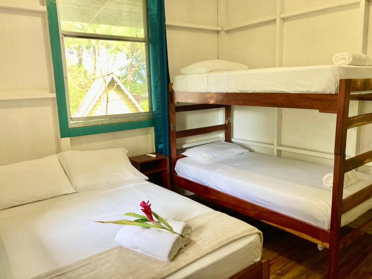 Drago Beach House - Private Beach Boca del Drago Exteriér fotografie